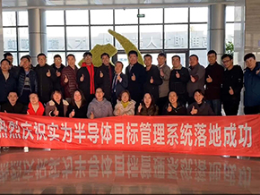 實為半導體目標管理系統落地成功